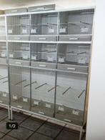 gezocht gehu opstelling, Dieren en Toebehoren, Vogels | Overige Vogels