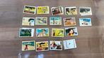 Prachtige lotfoto's Heidi Zuiyo Enterprises Panini 1981, Ophalen of Verzenden, Gebruikt, Meerdere plaatjes