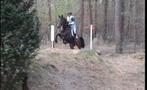 Sport merrie springen/eventing, Dieren en Toebehoren, Paarden, Merrie