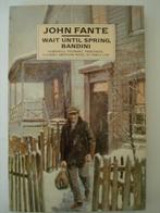 BK2. John Fante Wait until Spring, Bandini, Boeken, Gelezen, Verzenden, John Fante, Amerika