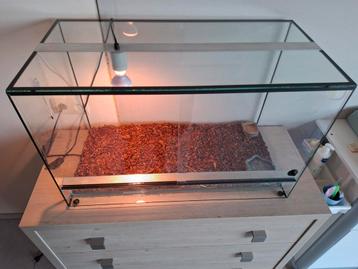 Terrarium in nieuwe staat  beschikbaar voor biedingen