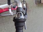 Fiets, Fietsen en Brommers, Gebruikt, Versnellingen, Golden Lion, Ophalen