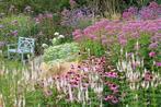 Ontwerp prairie  (Beplantingsplan + plantgoed) thuis bezorgd, Ophalen