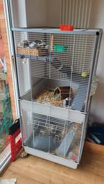 Cage pour rongeurs - 2 étages, Ophalen, Gebruikt, 90 cm of meer, 75 tot 110 cm