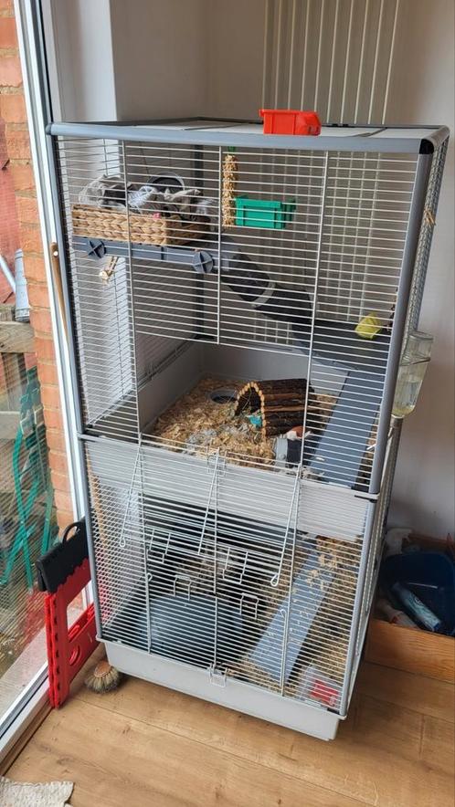 Cage pour rongeurs - 2 étages, Dieren en Toebehoren, Knaagdieren en Konijnen | Hokken en Kooien, Gebruikt, Kooi, 90 cm of meer