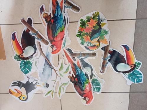 Thema toekan / jungle klasmateriaal, Diversen, Schoolbenodigdheden, Gebruikt, Ophalen of Verzenden