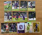 Panini pro league 2024 2025 Full set Beerschot, Ophalen of Verzenden, Nieuw, Spelerskaart