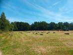 Hooibalen klein onverpakt, Dieren en Toebehoren, Stalling en Weidegang, Accessoires
