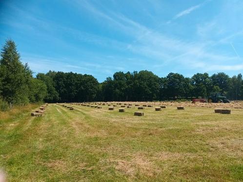 Hooibalen klein onverpakt, Dieren en Toebehoren, Stalling en Weidegang, Accessoires