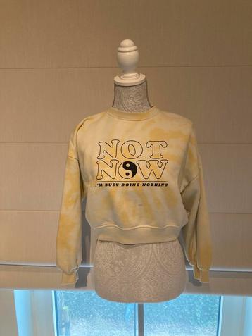 Sweater Not now, maat XS - 13jaar beschikbaar voor biedingen