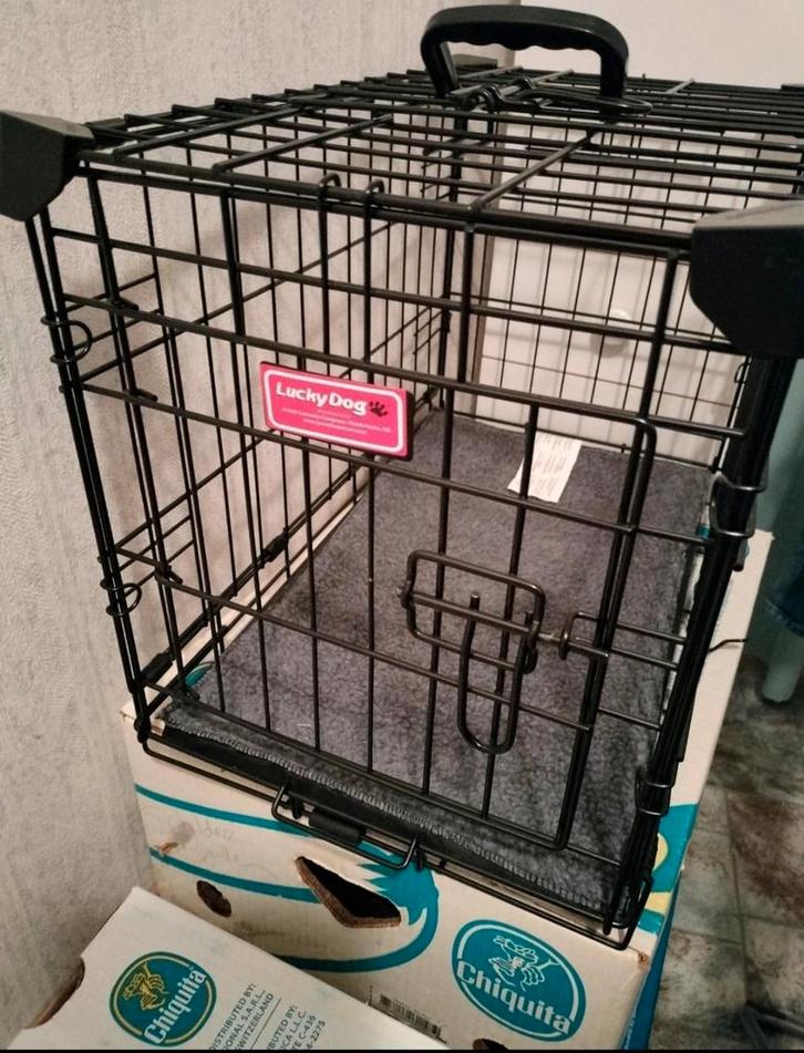 Bench, Dieren en Toebehoren, Hondenbenches, Zo goed als nieuw, Ophalen of Verzenden