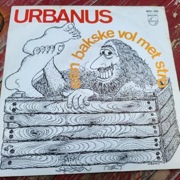 Urbanus Bakske vol met stro beschikbaar voor biedingen