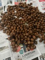 Verse walnoten (2kg), Diversen, Levensmiddelen, Ophalen