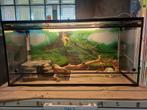 Terrarium, Animaux & Accessoires, Reptiles & Amphibiens | Accessoires, Enlèvement, Utilisé, Terrarium ou Paludarium
