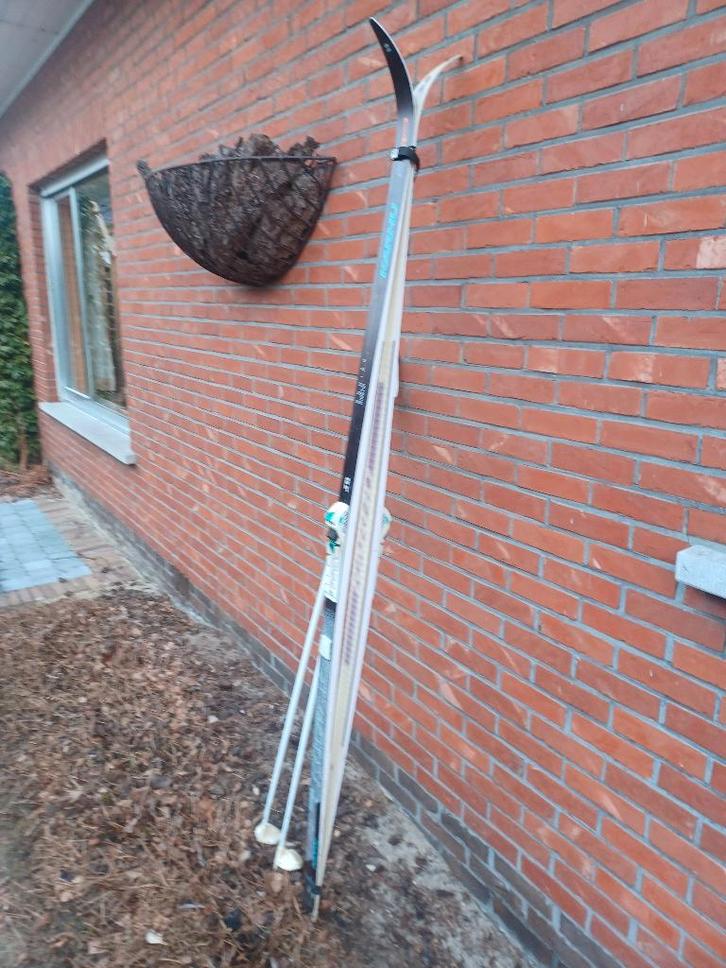Telemark (langlauf) Ski's + schoenen en stokken, Sport en Fitness, Skiën en Langlaufen, Gebruikt, Ski's, Ski, Overige merken, 180 cm of meer