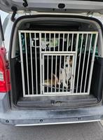 hondenrek voor berlingo/partner, Dieren en Toebehoren, Hondenbenches, Ophalen, Gebruikt