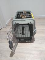 Reismand kat, Ophalen