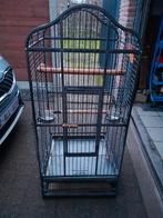 papegaai kooi, Dieren en Toebehoren, Papegaai