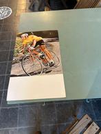 pancarte Eddy Merckx edité Allegro, Sport en Fitness, Info@lefro.upd, Overige typen, Ophalen of Verzenden, Allegro