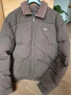 Winterjas Dickies, Ophalen, Bruin, Maat 48/50 (M), Dickies