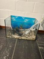 Aquarium met toebehoren 45x28x28, Ophalen, Zo goed als nieuw