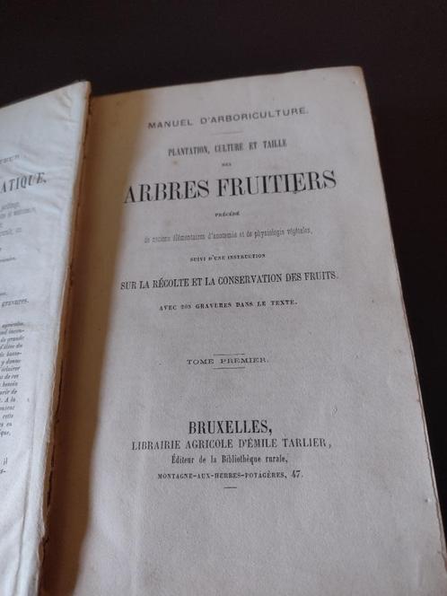 arbres fruitiers / fruitbomen antiek boek, Antiquités & Art, Antiquités | Livres & Manuscrits, Enlèvement ou Envoi