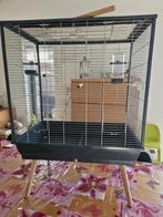 Cage oiseau, Animaux & Accessoires, Enlèvement