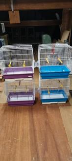 Vogelkooien, Dieren en Toebehoren, Ophalen