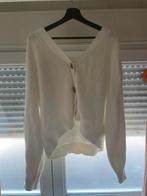 Witte trui, Kleding | Dames, Truien en Vesten, Ophalen, Zo goed als nieuw
