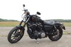 Sportster IRON 883, Motoren, 2 cilinders, 883 cc, Particulier, Meer dan 35 kW