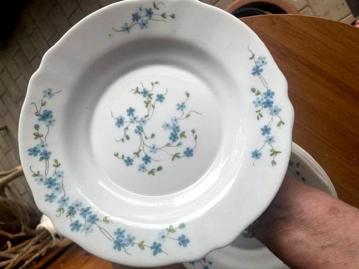 Arcoroc Myosotis 6 borden, Huis en Inrichting, Keuken | Servies, Gebruikt, Bord(en), Overige stijlen, Porselein, Ophalen of Verzenden