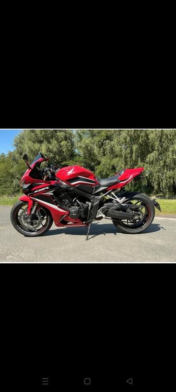 chien cbr650r 2021 disponible aux enchères