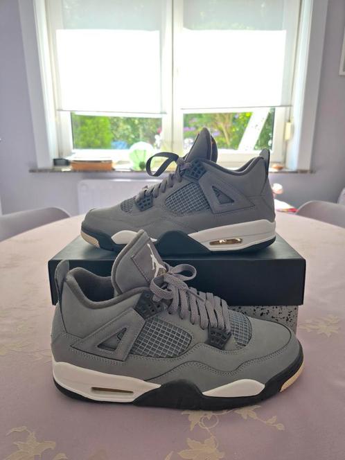Air Jordan 4 Cool Grey (2019) 43EU/9.5US, Kleding | Heren, Schoenen, Zo goed als nieuw, Overige kleuren, Ophalen of Verzenden