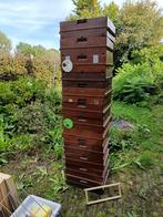 Bijenkasten, Dieren en Toebehoren, Insecten en Spinnen, Bijen