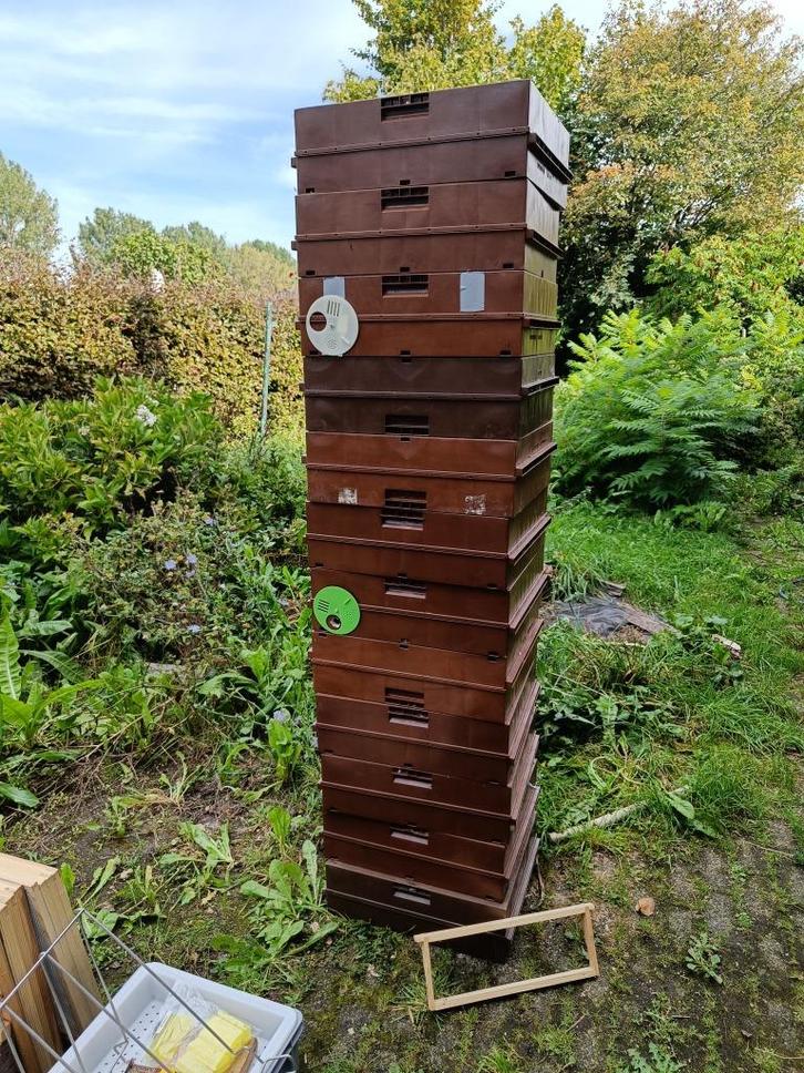 Bijenkasten, Dieren en Toebehoren, Insecten en Spinnen, Bijen