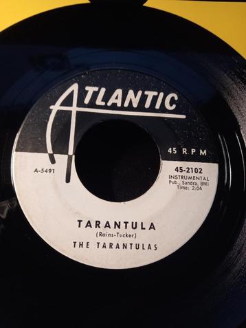  The Tarantulas  - Tarantula - Black Widow ' 7 titty shake ' beschikbaar voor biedingen