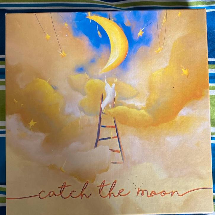 Catch the Moon, Hobby en Vrije tijd, Gezelschapsspellen | Bordspellen, Ophalen of Verzenden