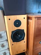 Link M21 Belgische luidsprekers, Audio, Tv en Foto, Ophalen