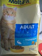 kattenbrokken, Enlèvement ou Envoi, Chat