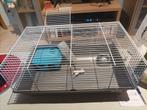 Cage petits rongeurs et divers nourriture, Neuf, Moins de 60 cm, Cage, Hamster