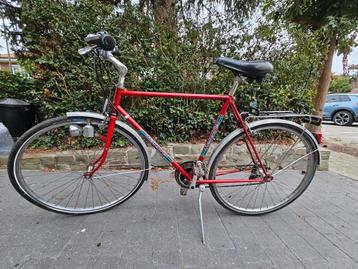Vélo homme Flandria beschikbaar voor biedingen