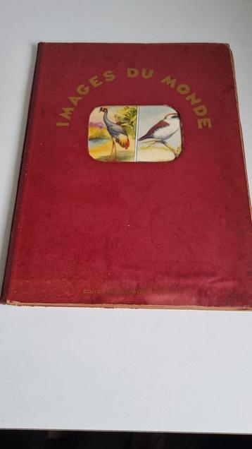 album photos images du monde Delhaize 1908, Enlèvement ou Envoi, Utilisé