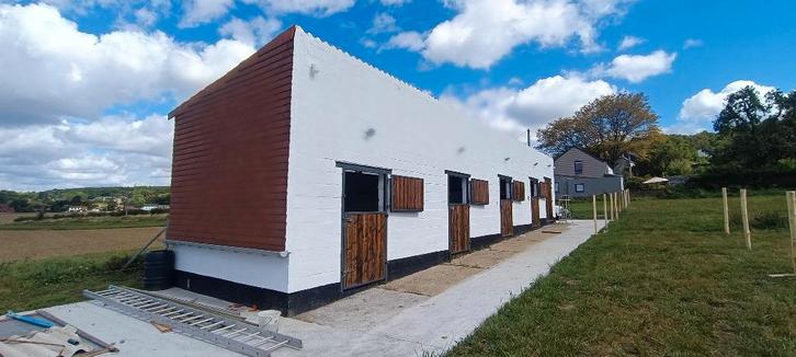 Antheit (Wanze) paardenbox te huur, Dieren en Toebehoren, Stalling en Weidegang, Weidegang, 2 of 3 paarden of pony's