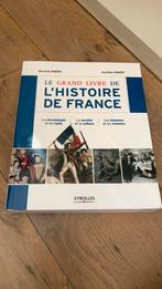 Le grand livre de l’histoire de France, Nieuw, Ophalen of Verzenden, Europa, Michelle Fayet