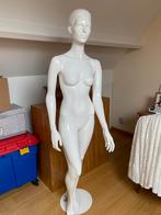 Paspop op staander, Kleding | Dames, Ophalen