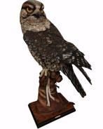 The Falconer Giuseppe Armani limited edition., Ophalen