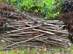 GRATIS afhalen brandhout (dikkere takken), Tuin en Terras, Brandhout, Ophalen, Takken