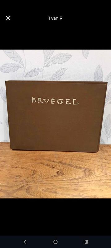 linnen boek breugel 95 tekeningen!  beschikbaar voor biedingen