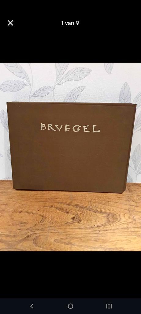 linnen boek breugel 95 tekeningen!, Antiek en Kunst, Kunst | Tekeningen en Fotografie, Ophalen of Verzenden