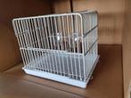 Transport kooi wit - Winkel en Webshop 🐦🕊, Ophalen, Nieuw, Kunststof